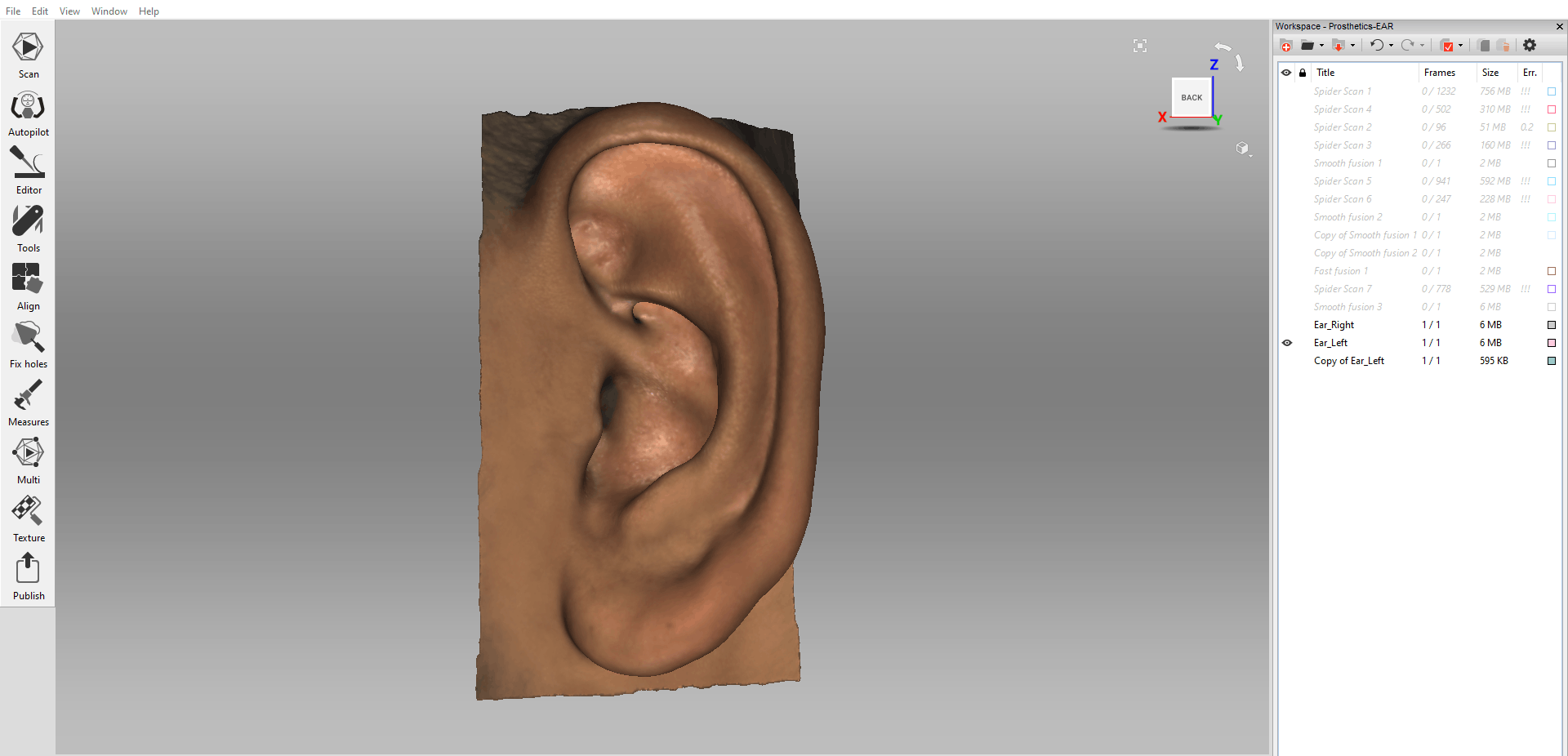 Mirrored left ear shown in Artec Studio